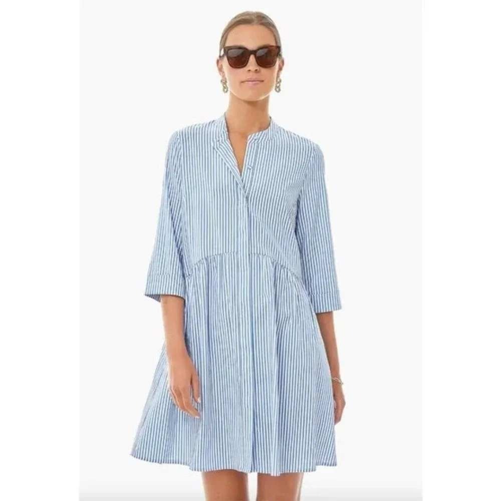 Tuckernuck Royal Shirt Dress A-line Swing Blue Stripe Print Large